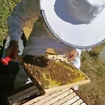 Hébergement de vacances Les D'hestia *