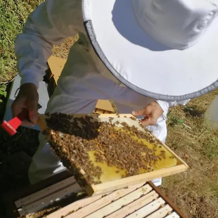 Ferienhaus Les D'hestia *