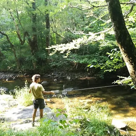 Les D'hestia * La Salvetat-sur-Agout